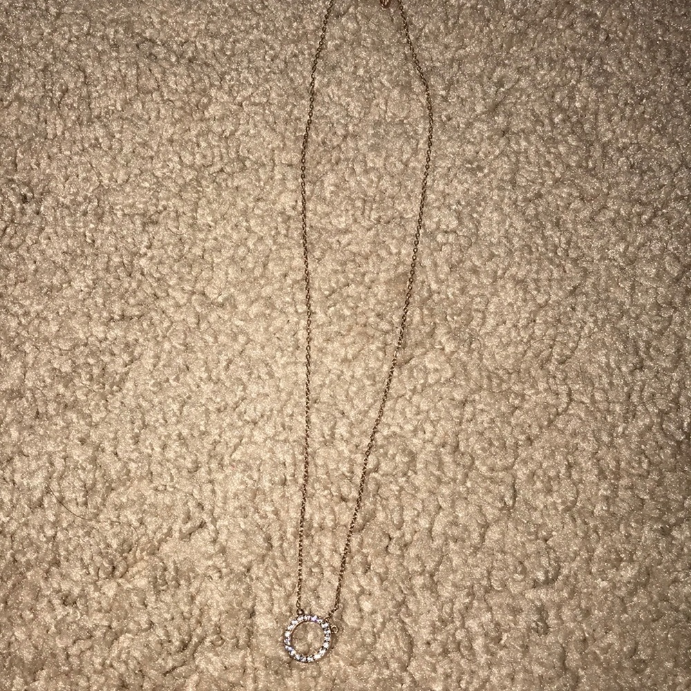Rose Gold Circle Necklace